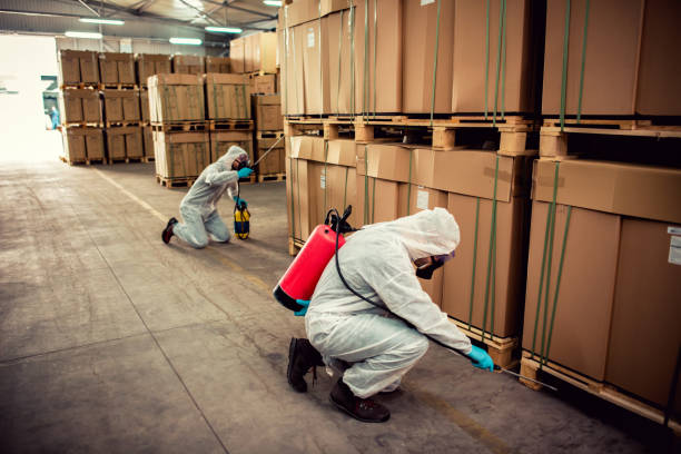 Flea Control Services in Olney, MD