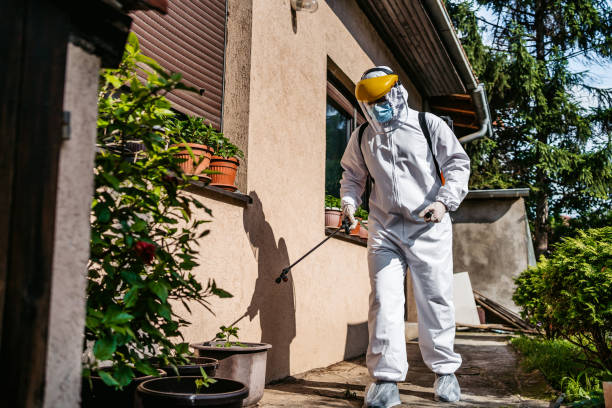 Best Best Pest Control Companies  in Olney, MD