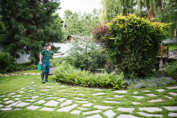 Best Mosquito Control Services  in Olney, MD