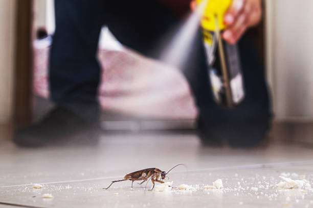 Best Cockroach Control Services  in Olney, MD